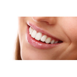 TRATAMENTO ENDODONTICO